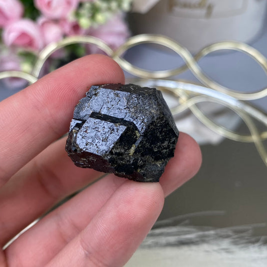 Melanite/ Black Garnet (Spain)