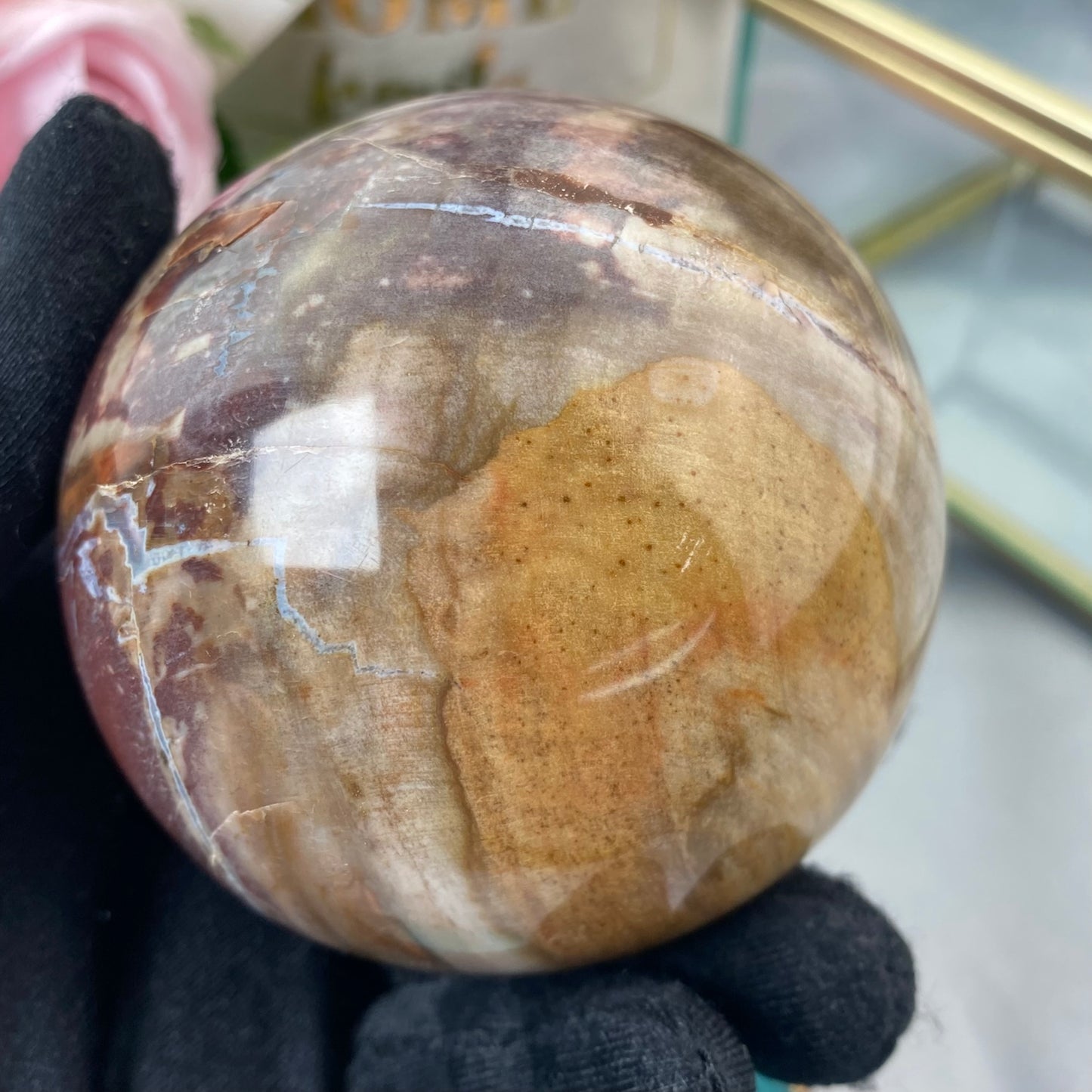 Petrified Wood (Sphere 616g., 7cm)