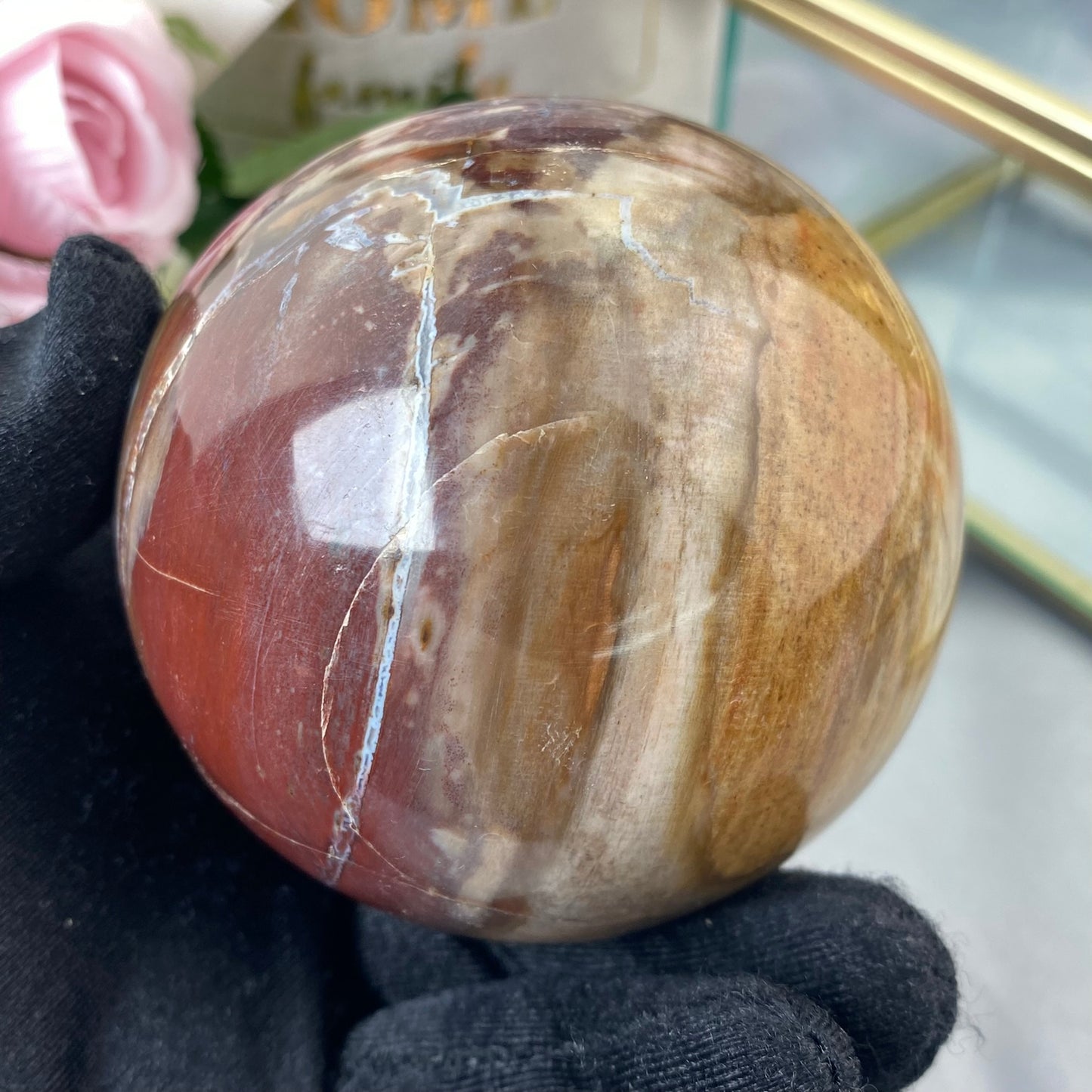 Petrified Wood (Sphere 616g., 7cm)