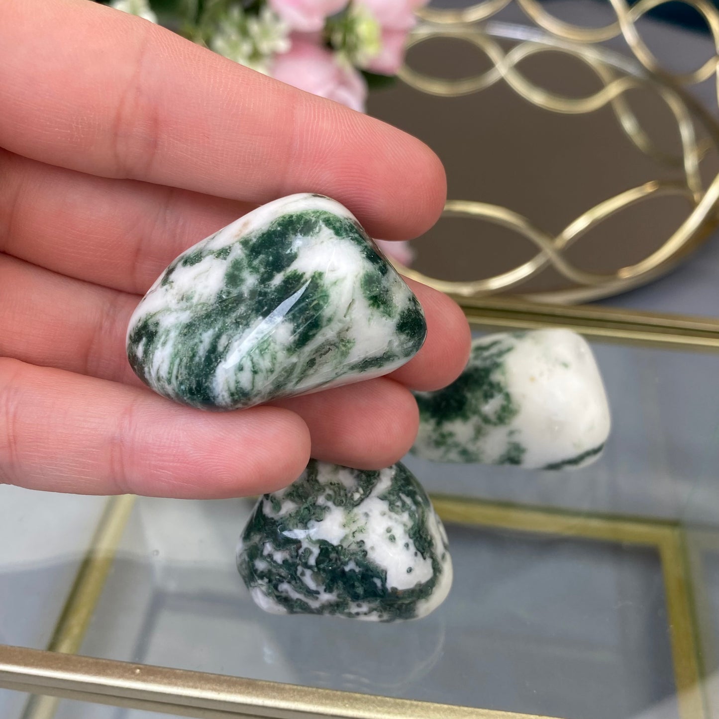 Natural polished Tree Agate (1pc.)