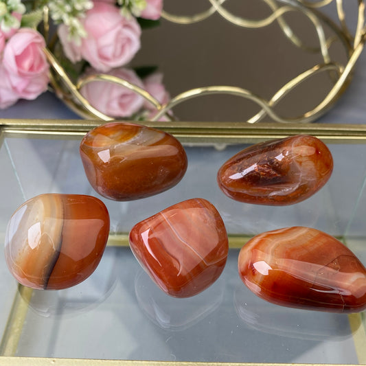 Natural polished  Red Agate (1pc.)