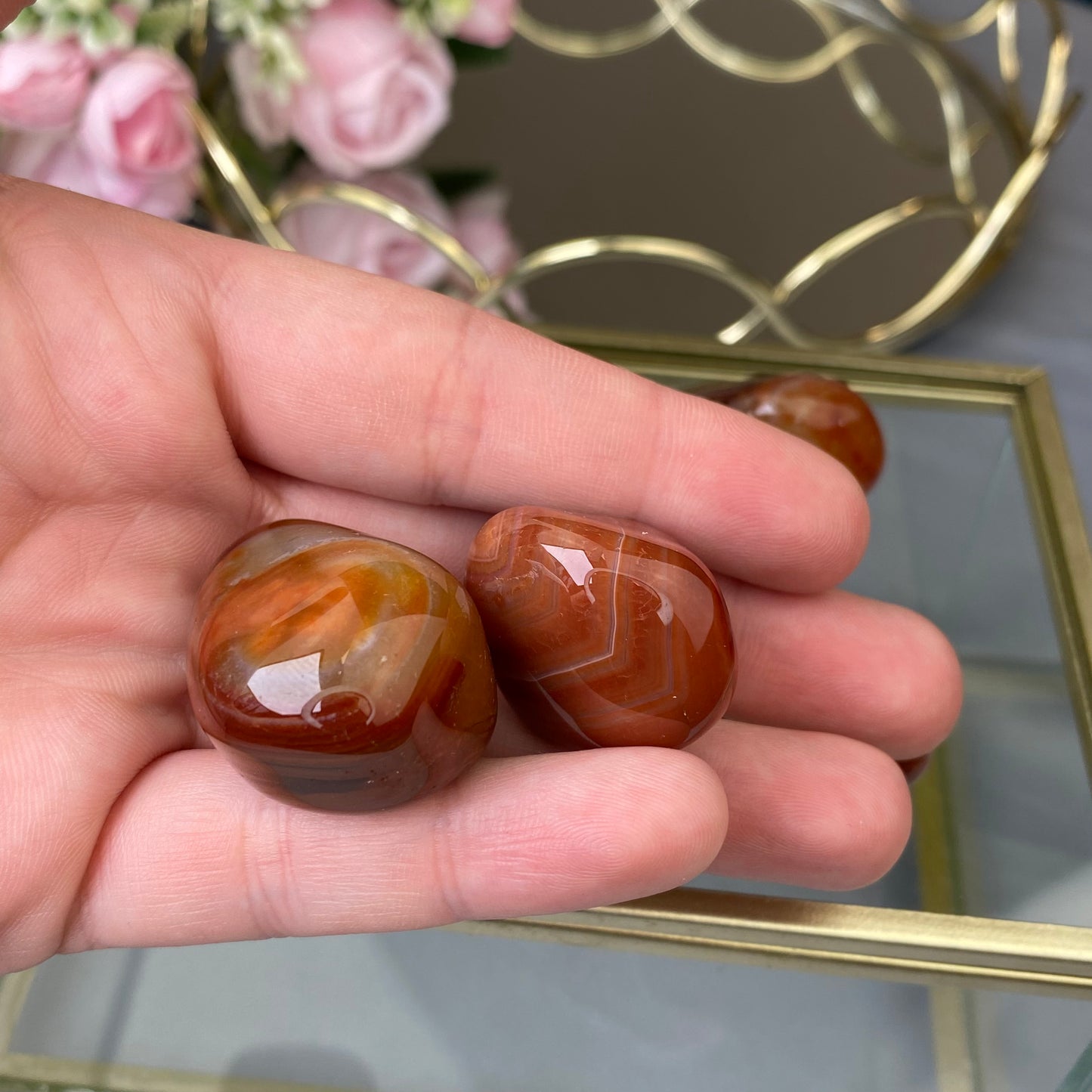 Natural polished  Red Agate (1pc.)